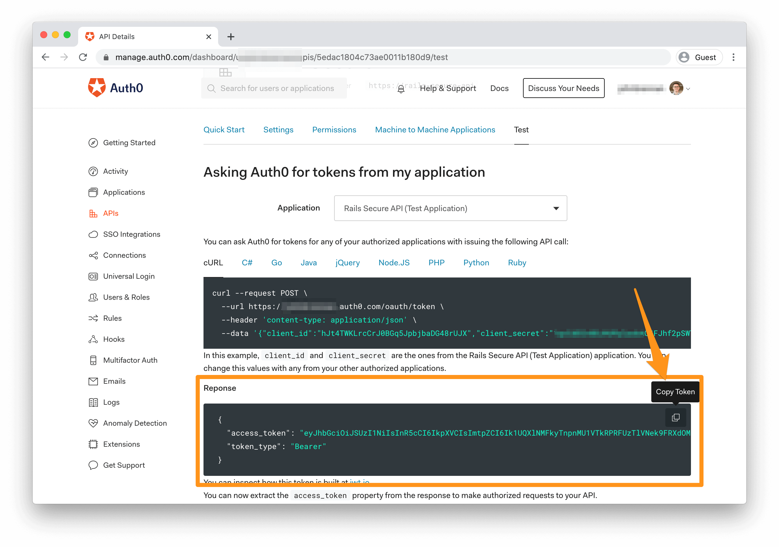 find access token on Auth0 API Details page