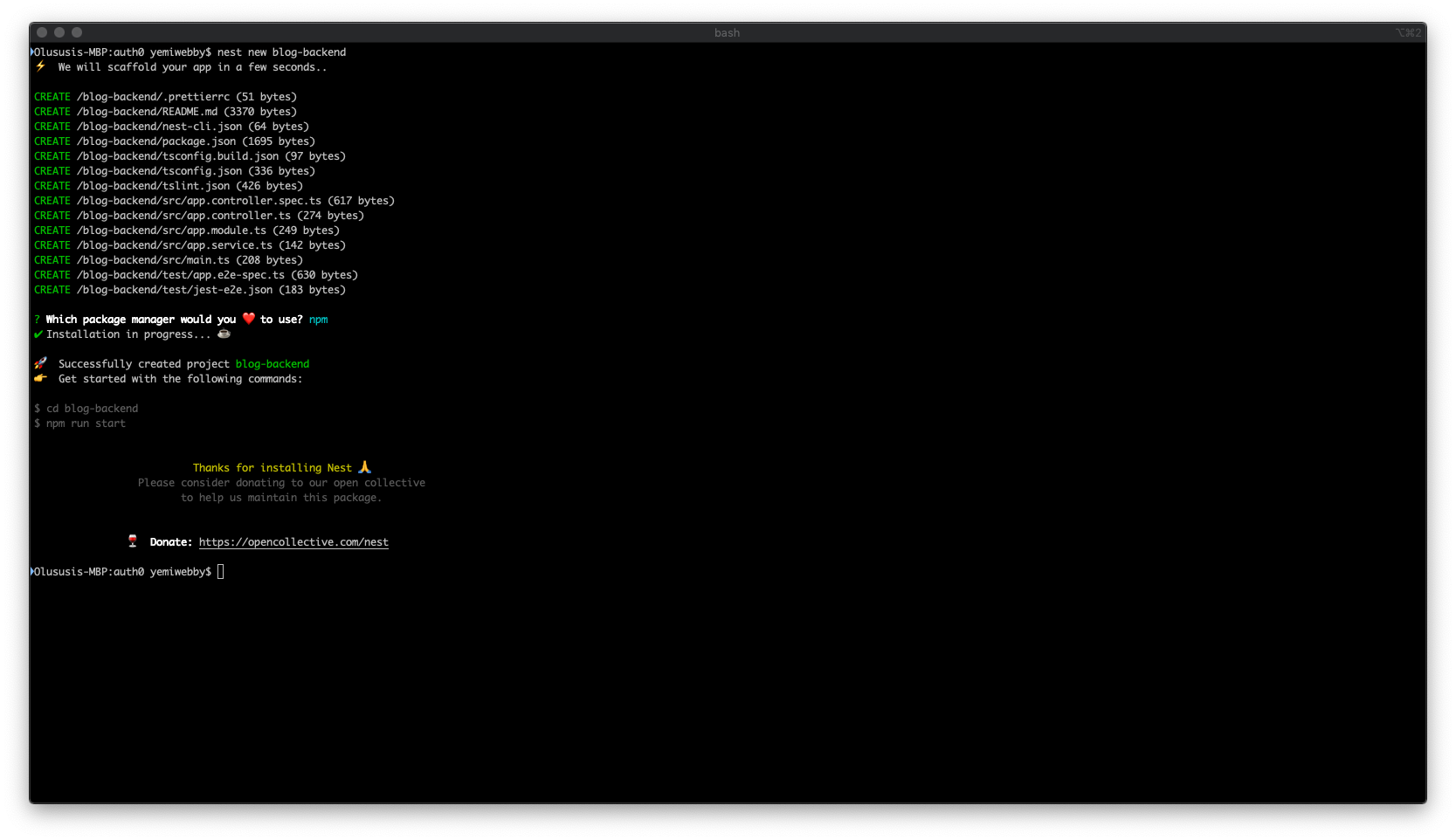 Terminal view of installing Nest.js