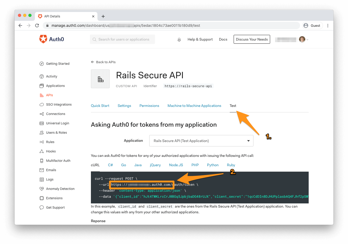 finding Auth0 Domain in test section of API