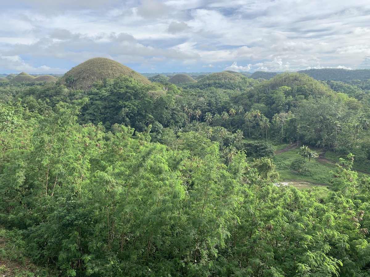 A lush tropical forest, with dome-shaped hills in the background. This photo contains EXIF metadata - see if you can find the altitude at which this photo was taken!