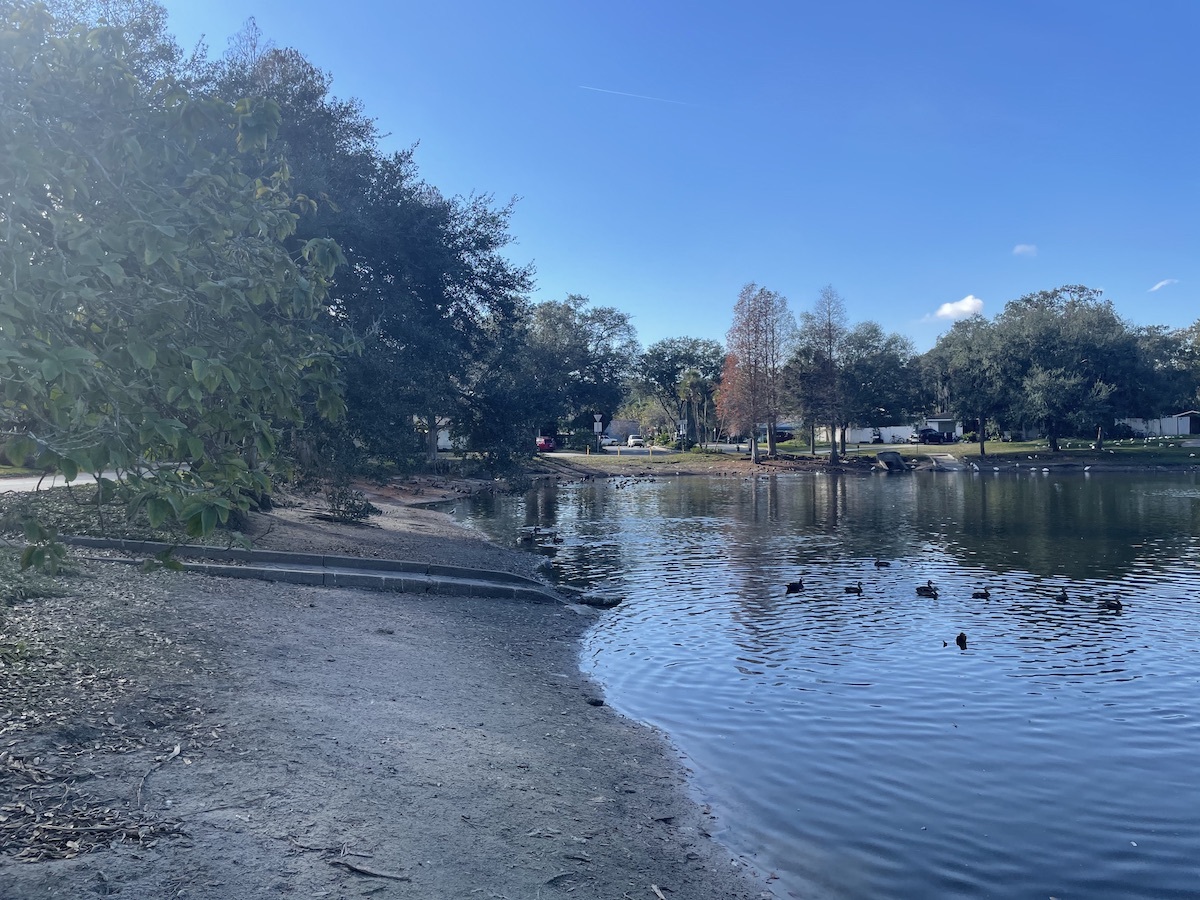 The shore of a small lake, with the lake to the right. This photo contains EXIF metadata - see if you can find which direction the camera was facing!