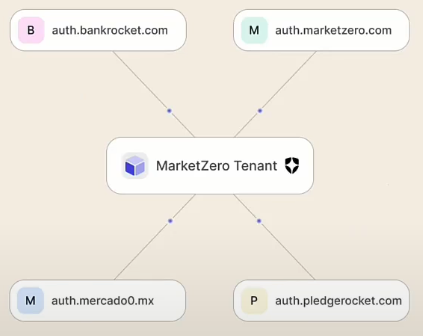 Diagram illustrating the Multiple Custom Domains feature, with a central 'MarketZero Tenant' connected to four different custom domains