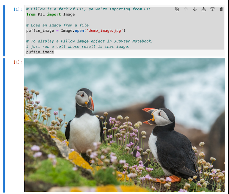 Opening and displaying an “Image” object in Jupyter Notebook.