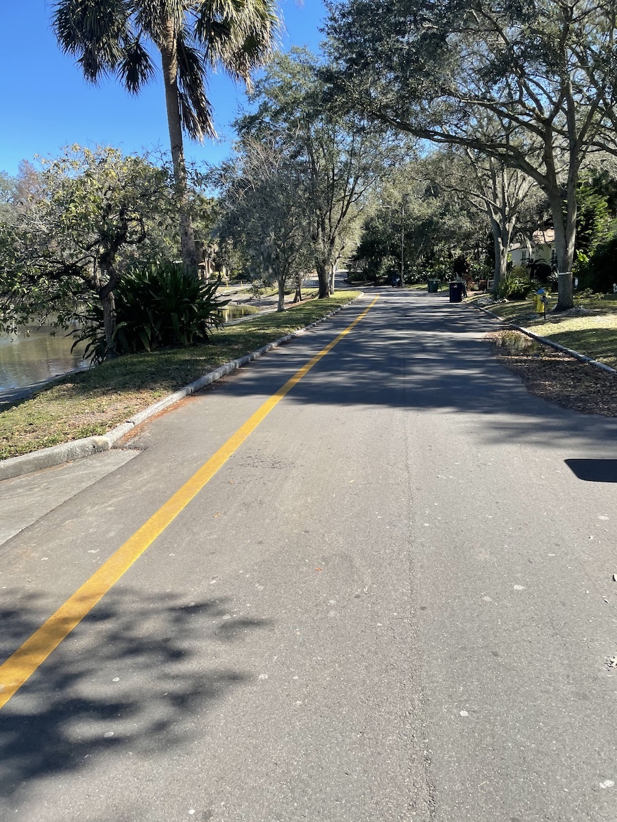 A residential street, as seen from the handlebars of a bicycle. This photo contains EXIF metadata - see if you can find the speed at which the photographer was moving when it was taken!