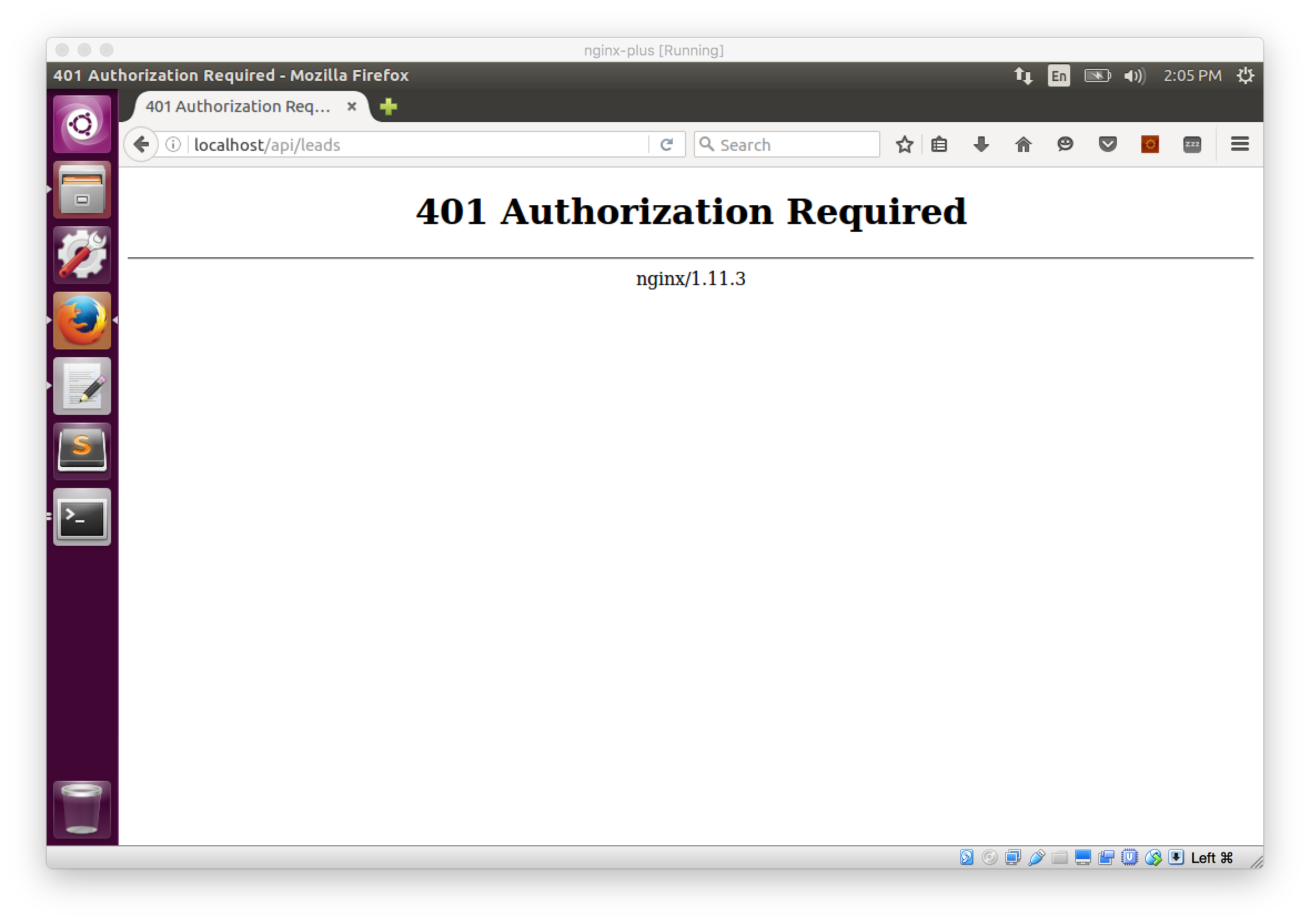 Unauthorized NGINX Plus request