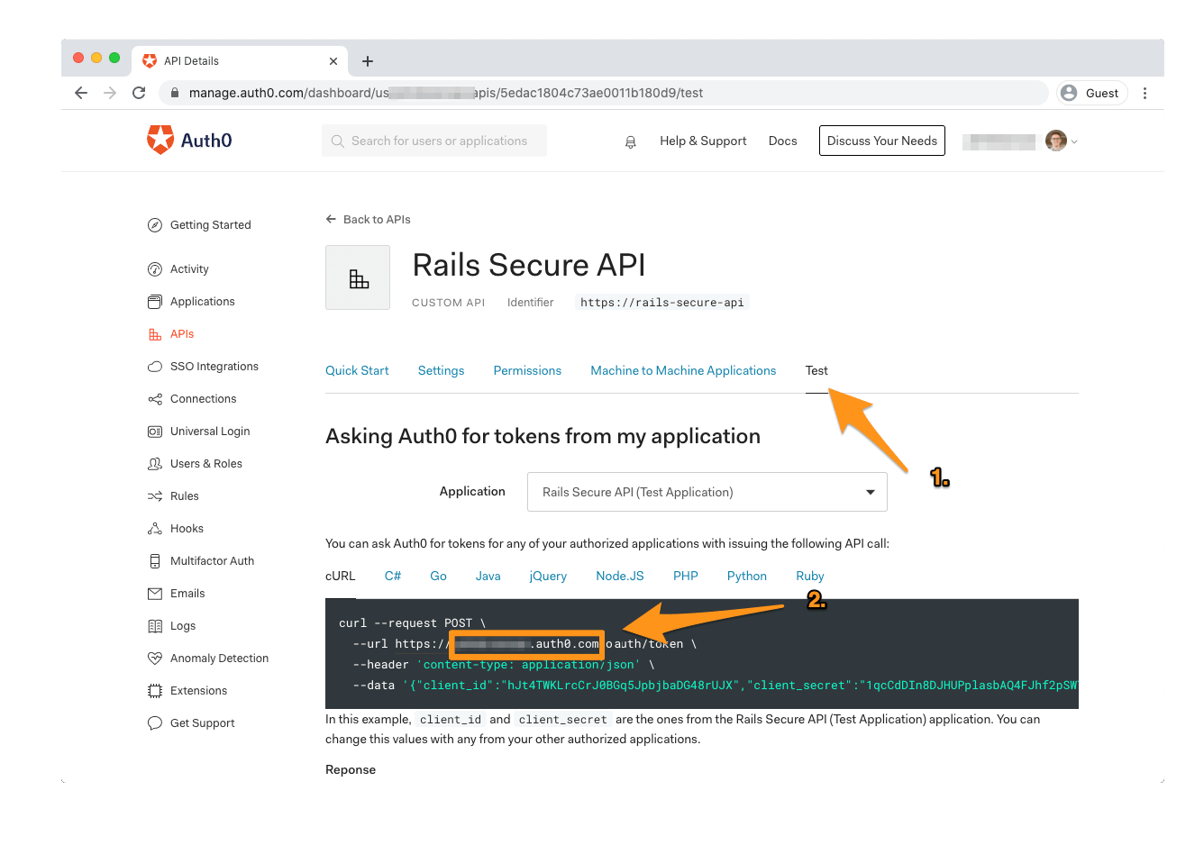 finding Auth0 Domain in test section of API