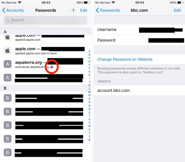 iOS 12 Password Autofill - Password Reuse Auditing flag present on online service