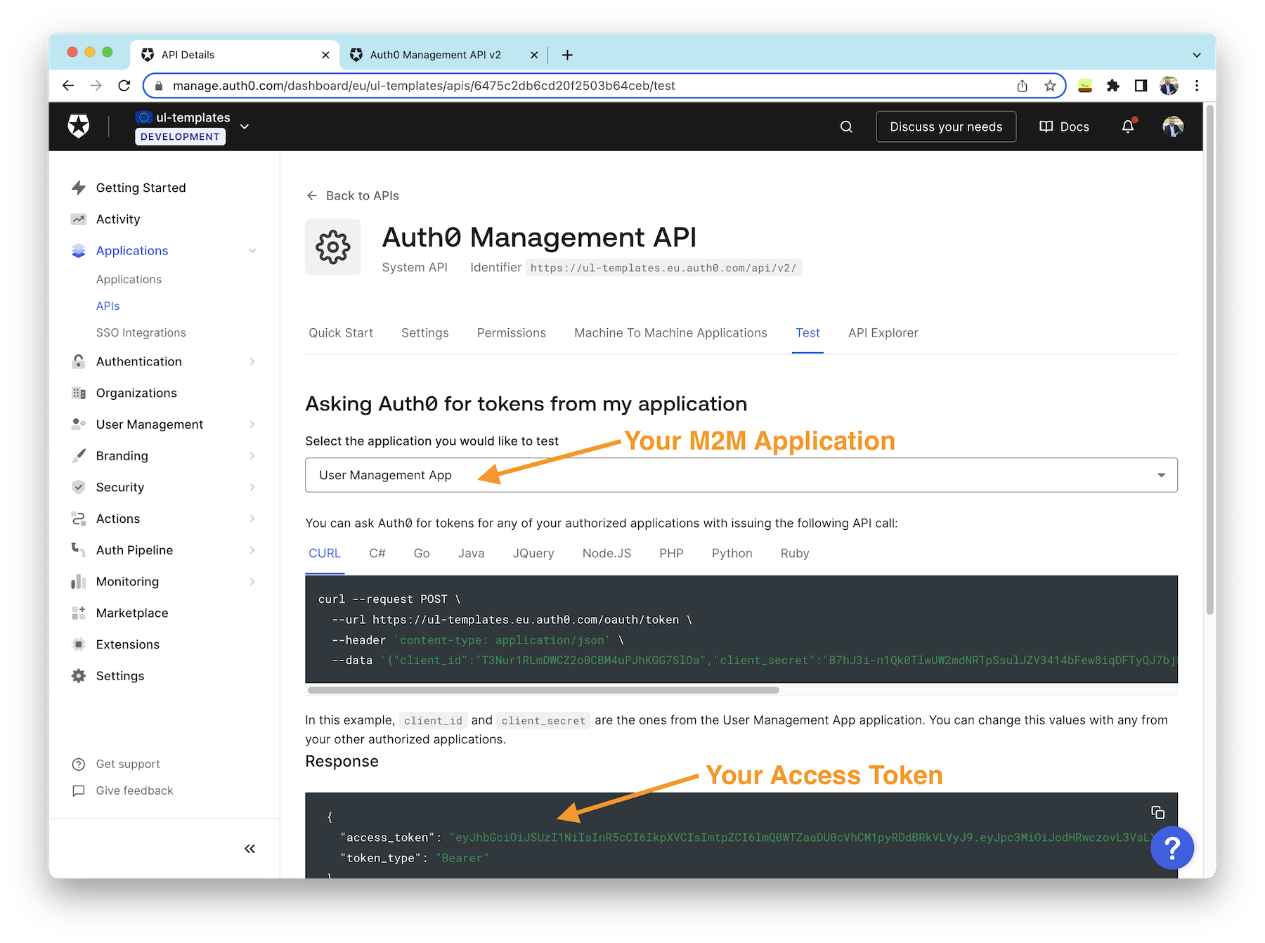 Getting API Access Token from the Auth0 dashboard