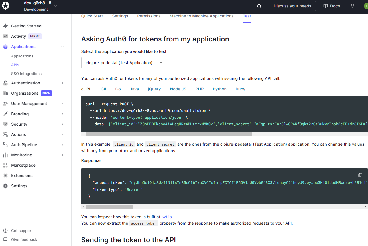 Getting test information from the Auth0 Portal