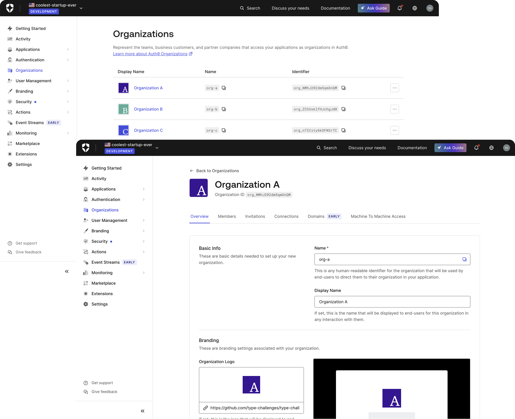 Screenshot of list of Organizations and branding page