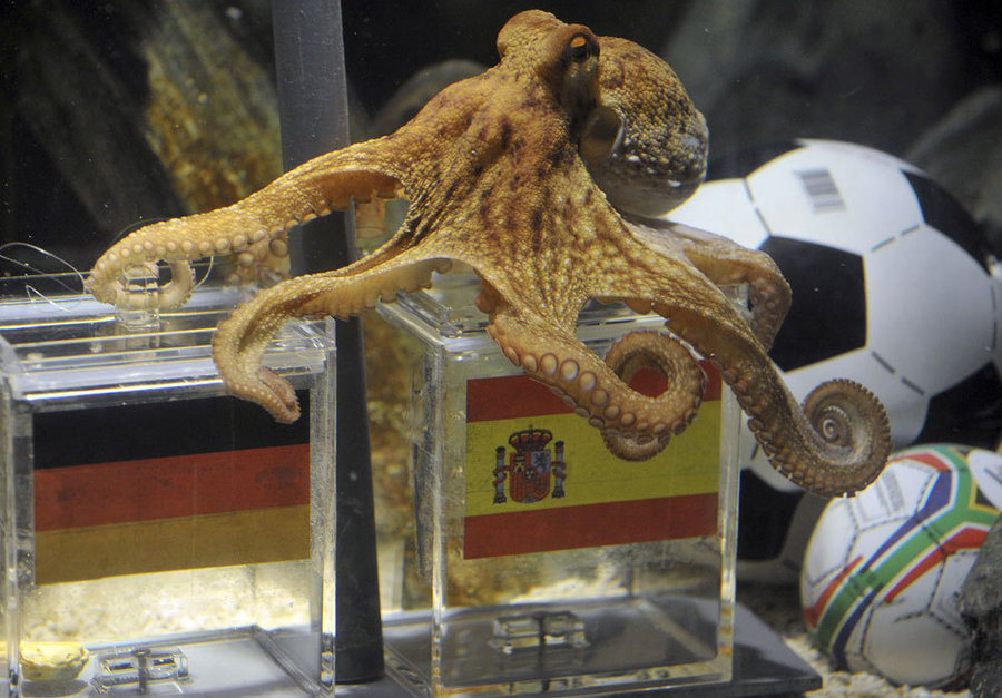 Paul the Octopus