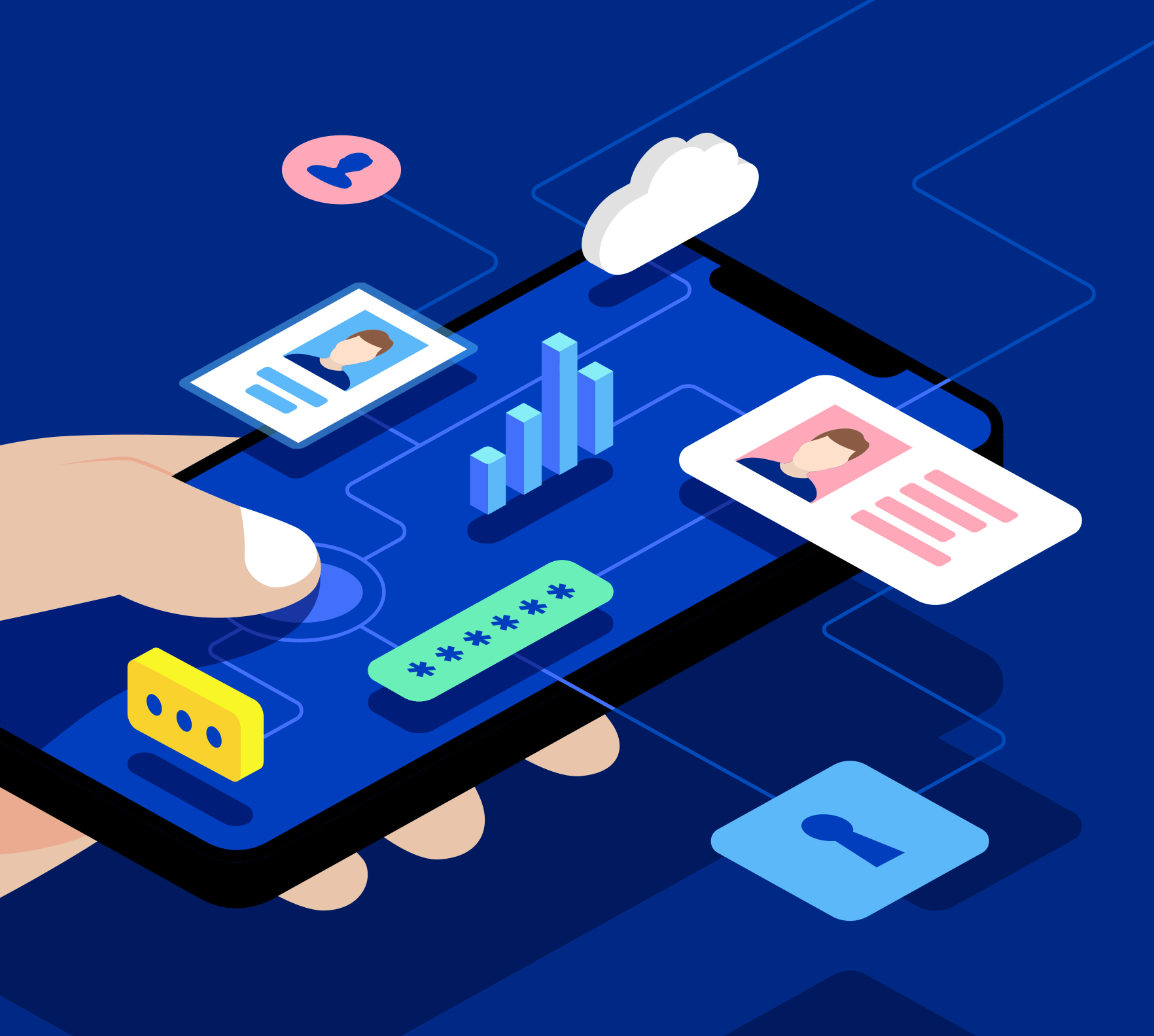 Centralized large-scale IT systems using biometrics (existing and planned)