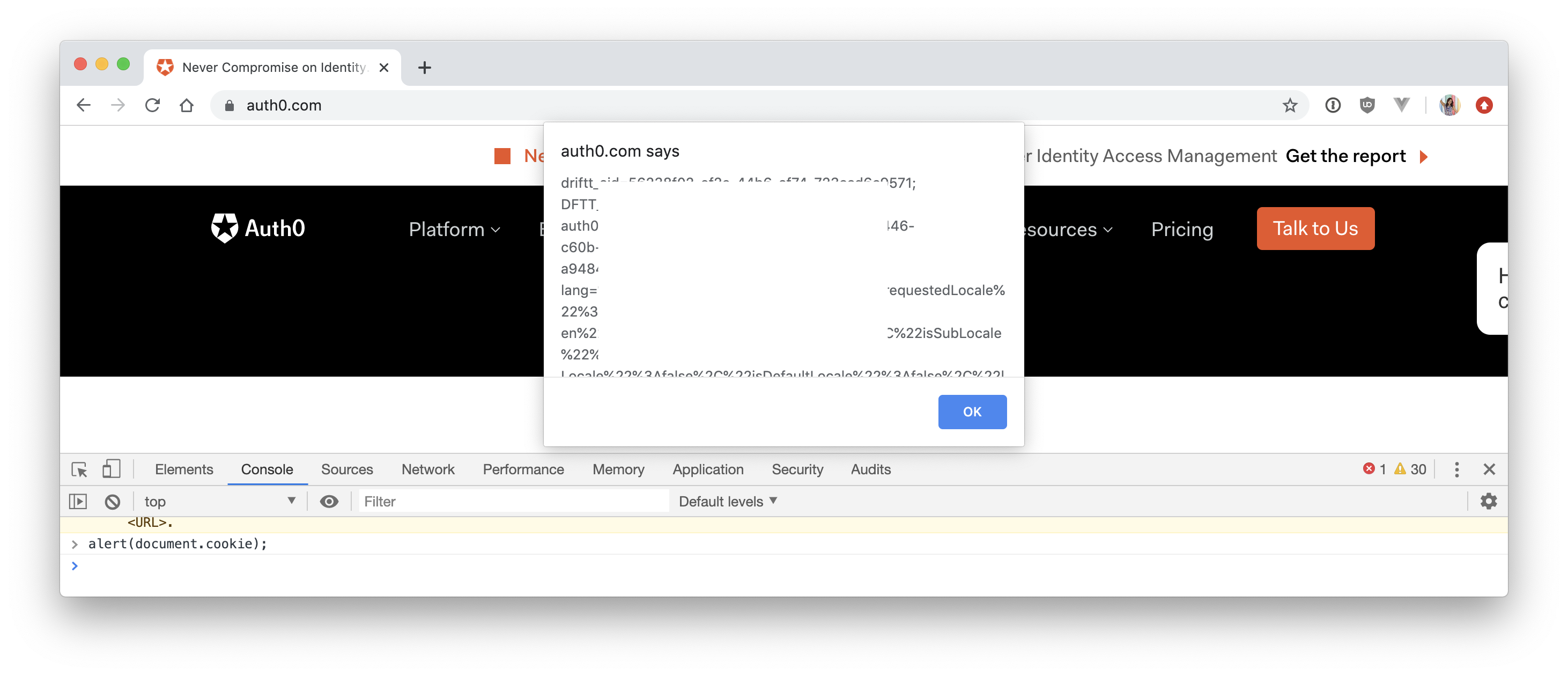 XSS attack demo stolen cookie