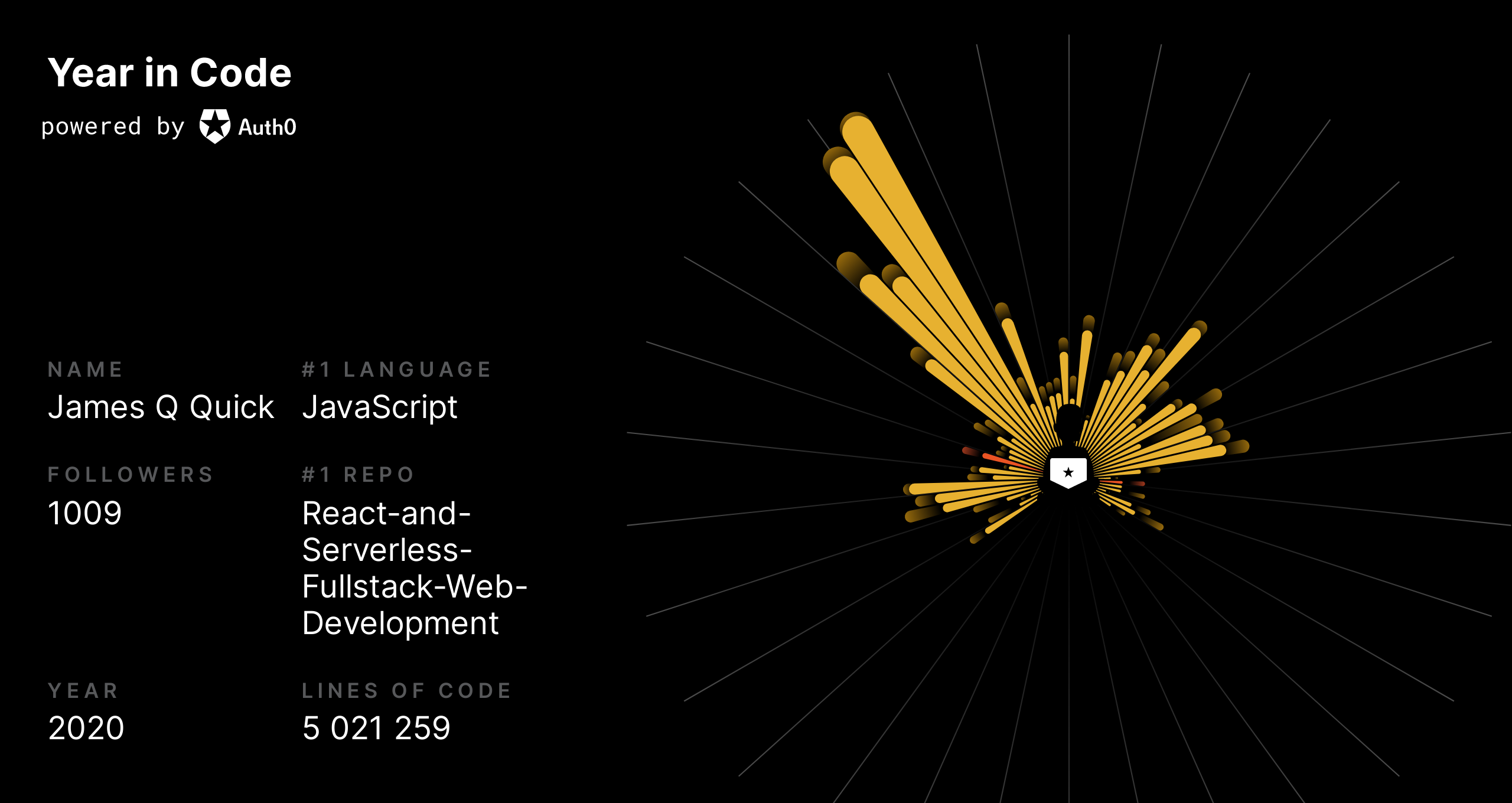 "Year in Code" poster showing James' coding activity in 2020