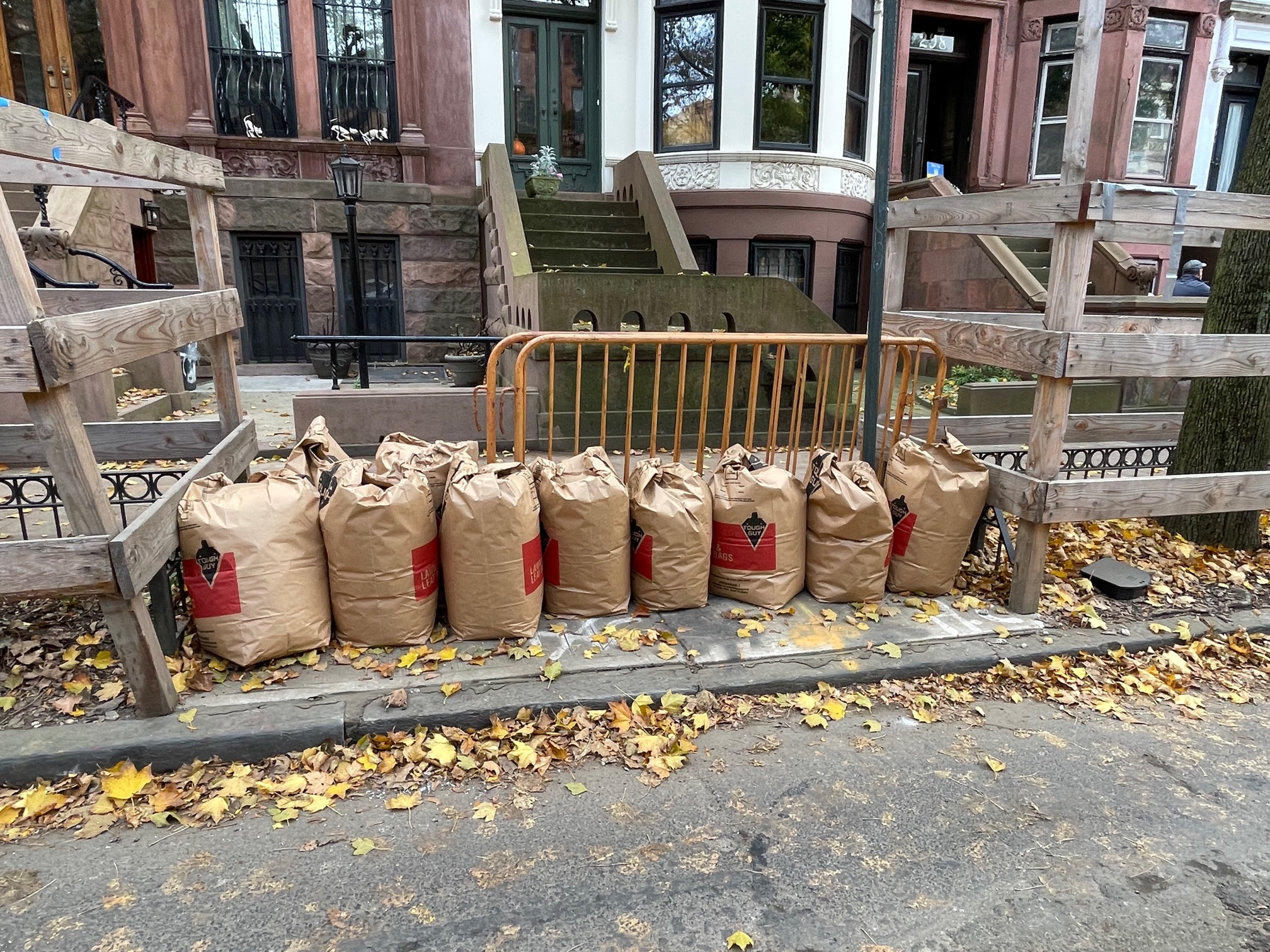 07 Some of the 15 bags of leaves collected and brought to PHCF for composting