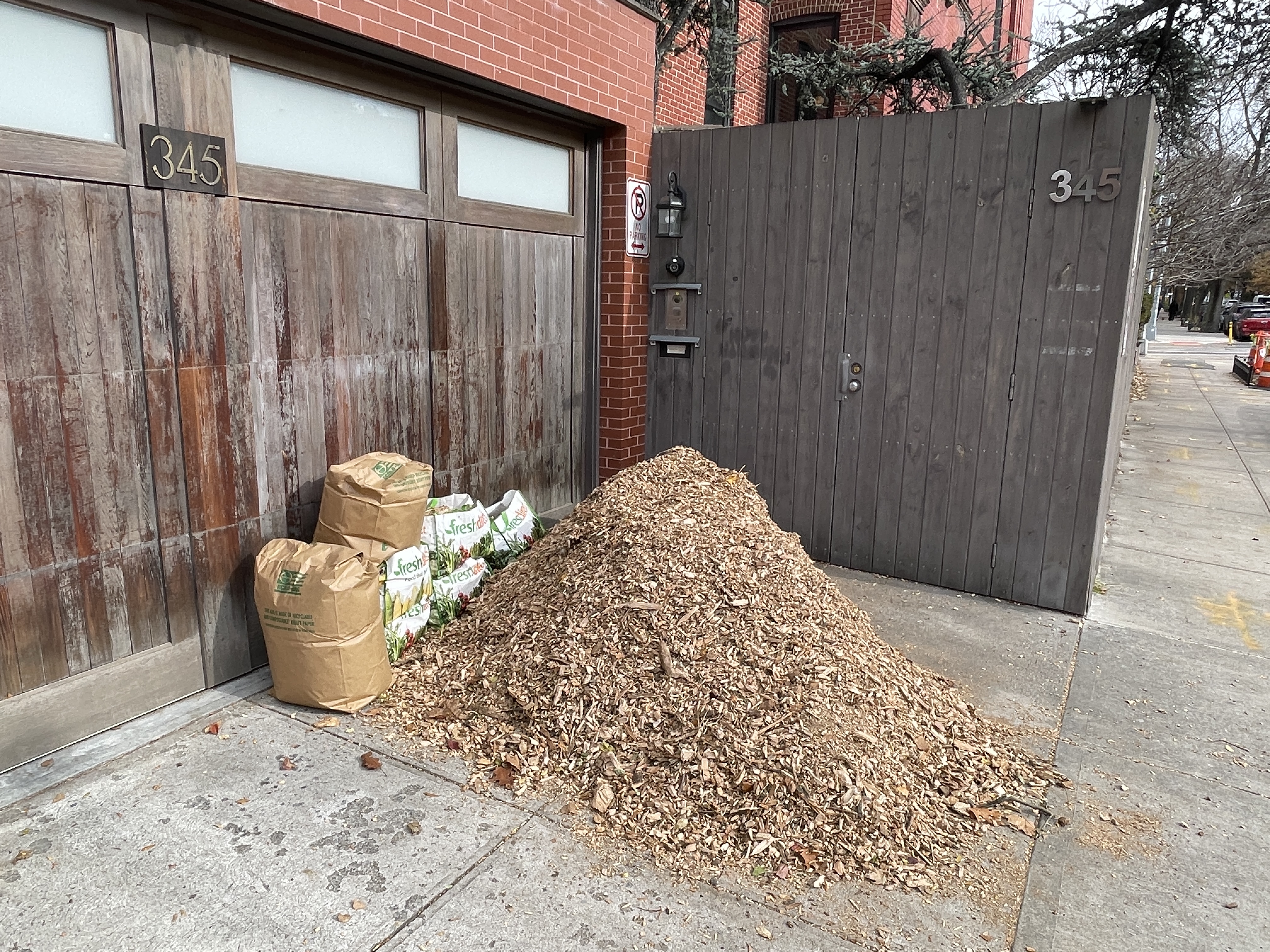 01 Wood chip pile