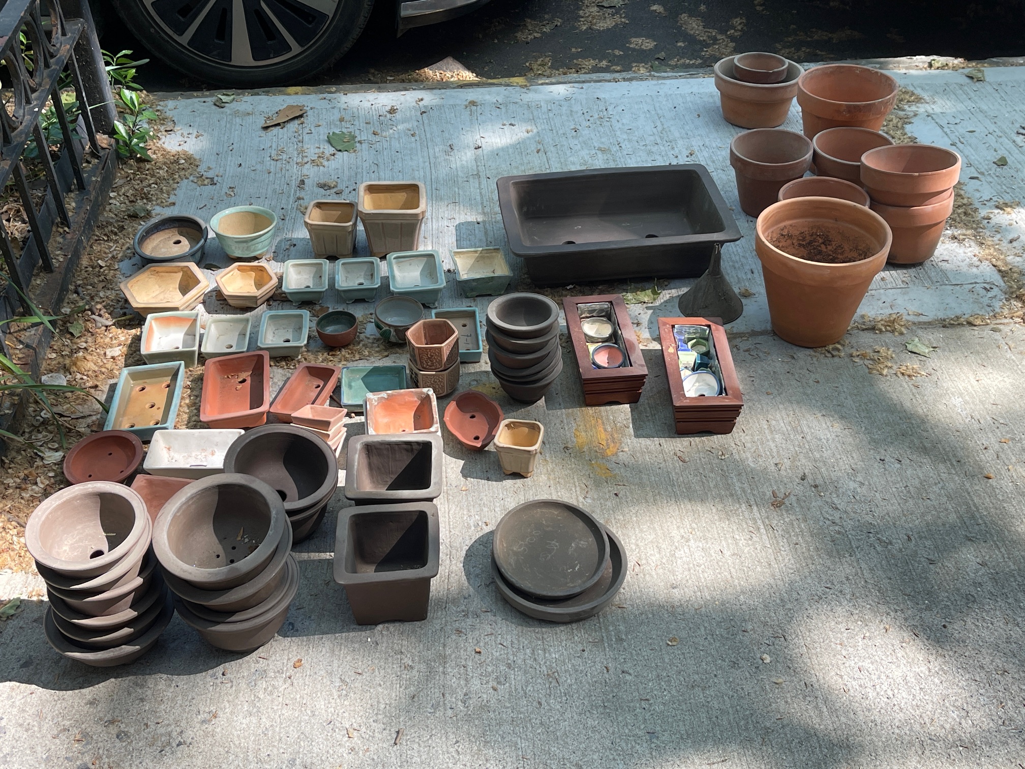 plant share 2026-05-16 01
