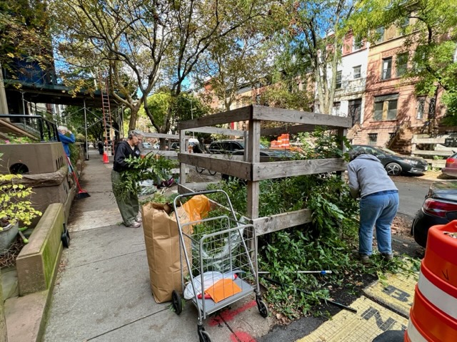 Fall clean up 01 photo credit Christiana Dittmann