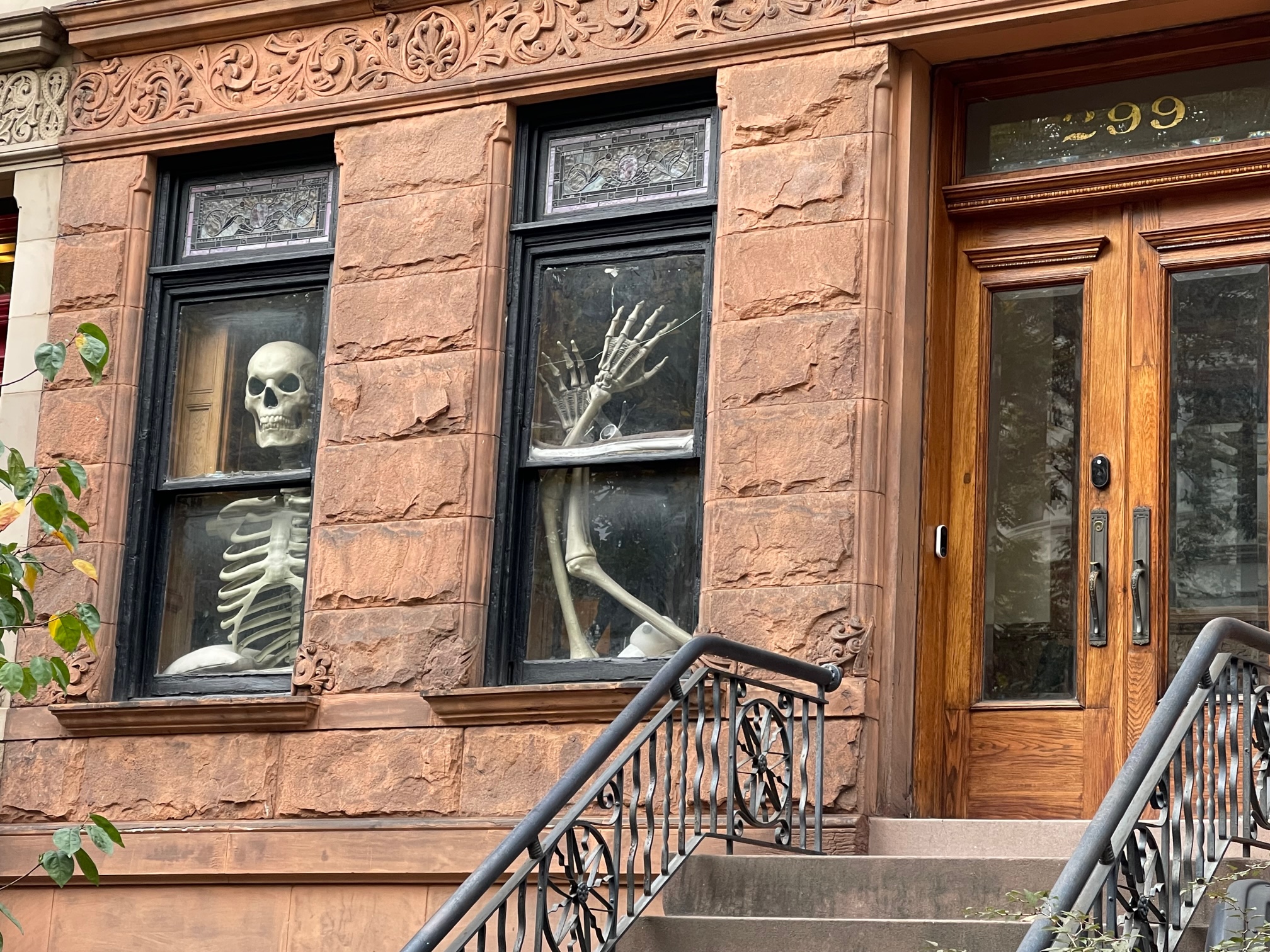 02 skeletons lurking in window
