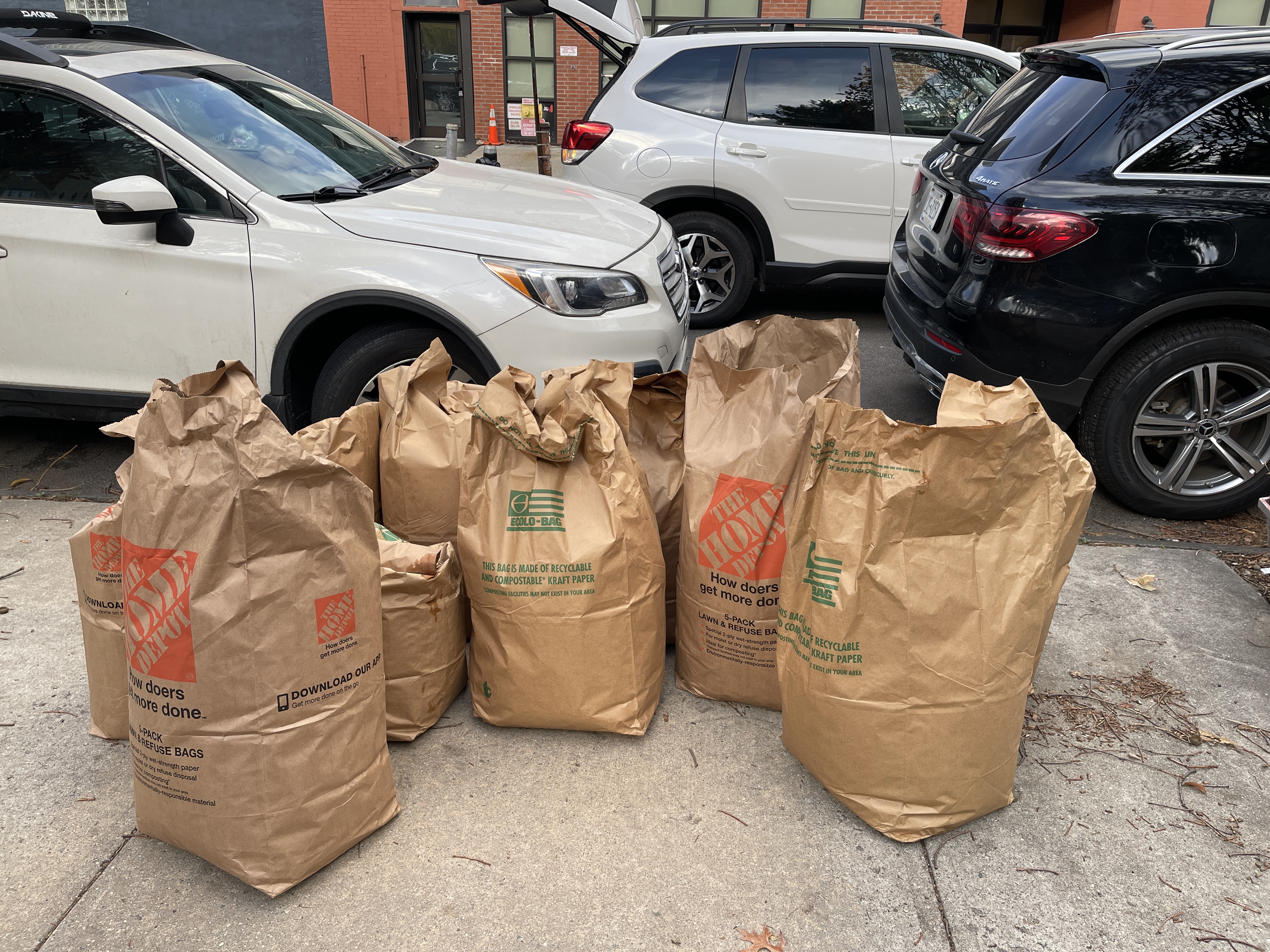 04 10 of 43 leaf bags