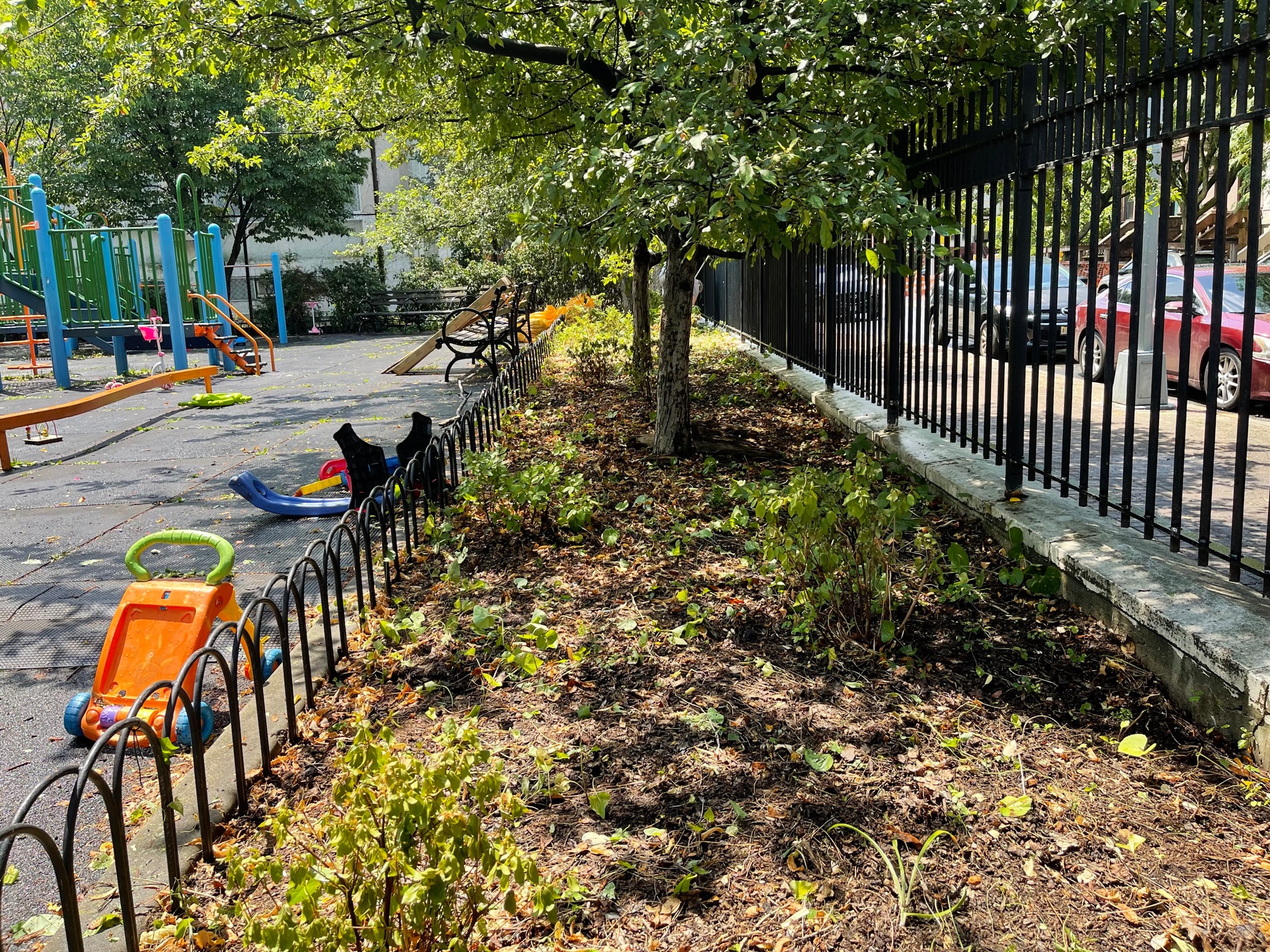 04 after - fence removed weeded and cleaned up