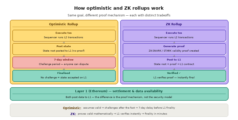 Optimistic vs ZK rollups how each works