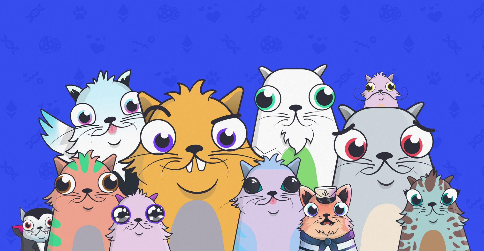 kitty-represent-token