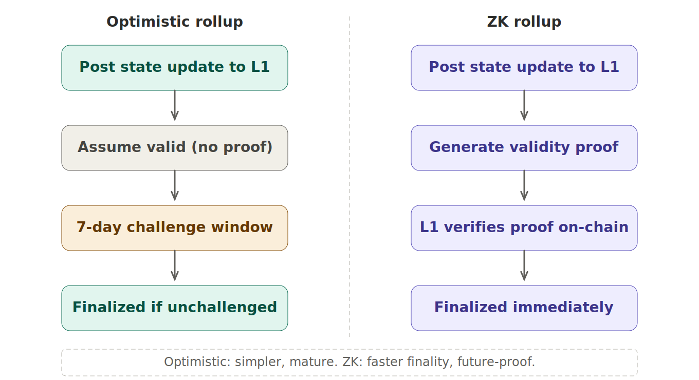 optimistic vs zk