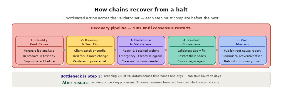 what is chain halt?- Recovery from halt