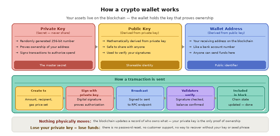 What is a crypto wallet? - how wallets work