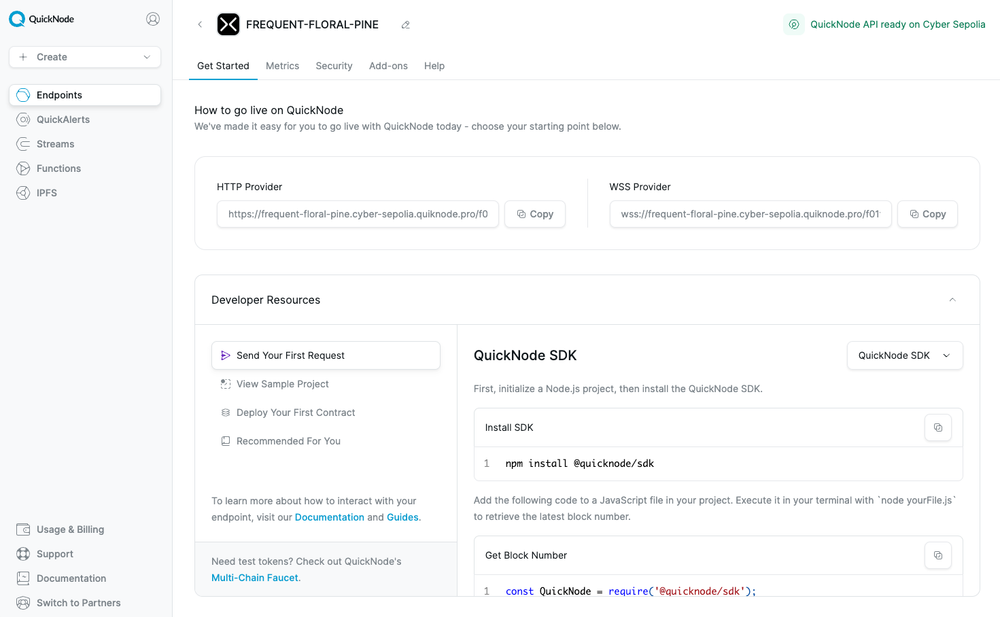 quicknode-cyber-launch-step-5