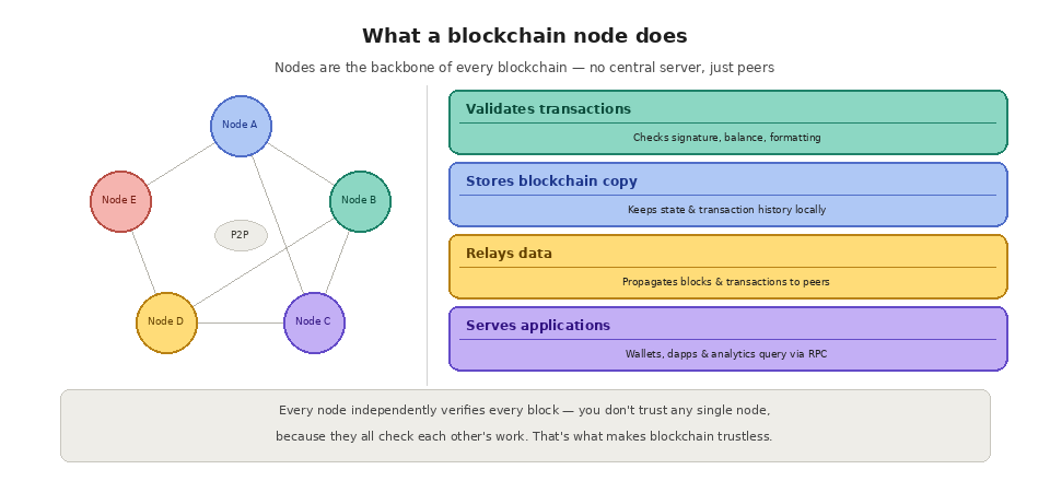 2 1 what is a blockchian node? what a blockchain node-does