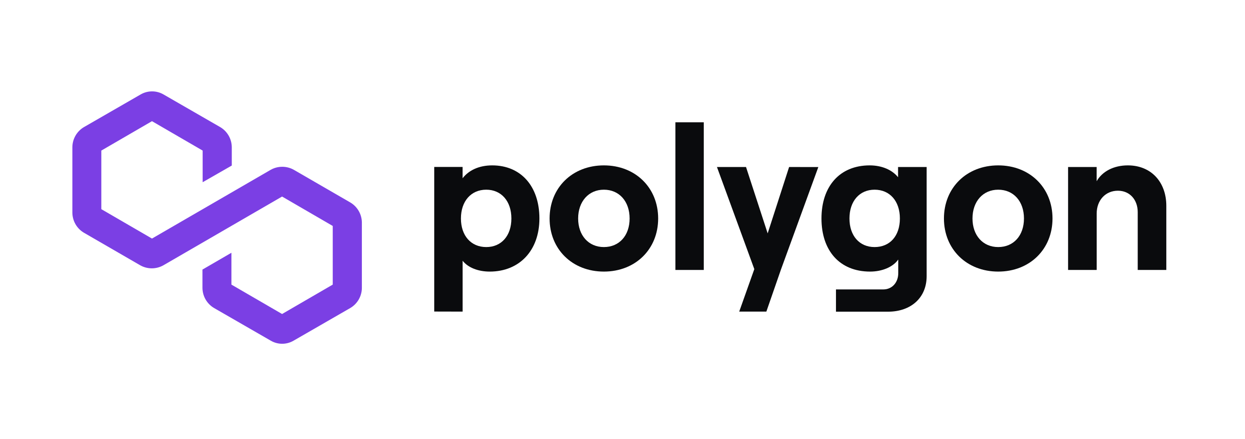 Polygon big logo