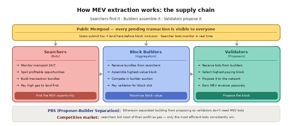  How MEV works:the. supply chain 