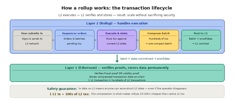 How a rollup works: the transaction lifecycle 