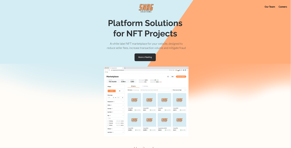 snag-solutions