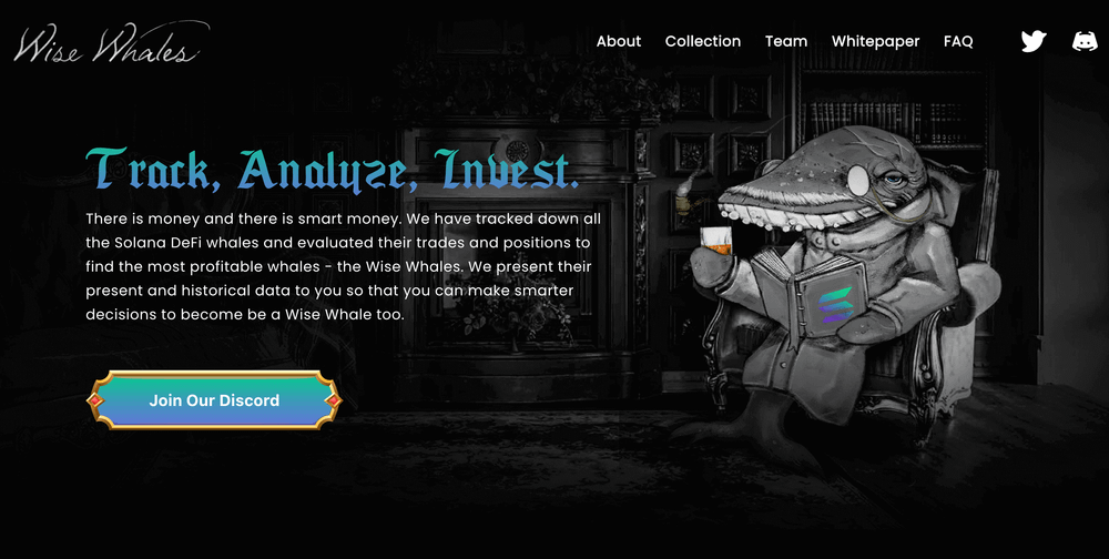 wise-whales-homepage-feature-friday