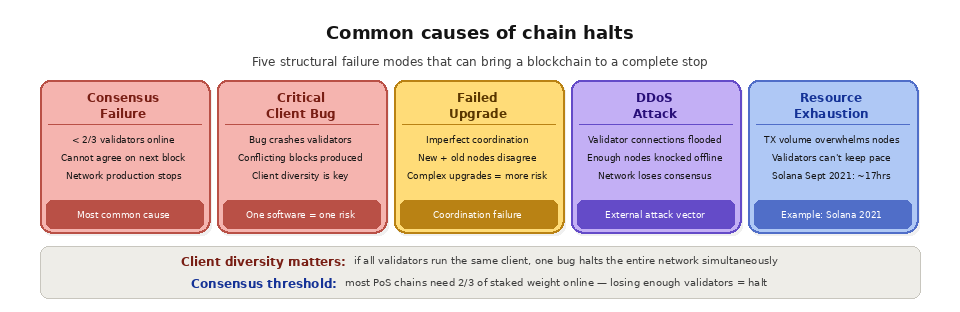 what is chain halt?-Common causes of chain halts