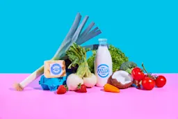 A colorful arrangement of fresh groceries on a pink and blue background, featuring a bottle of milk, a block of cheese, leeks, lettuce, broccoli, tomatoes, coconut, turnips, strawberries, and a yellow pepper.