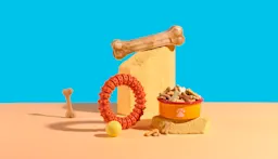 A playful pet-themed setup with a dog bowl filled with bone-shaped biscuits, chew toys, and a yellow ball arranged on textured blocks, set against a colorful blue and orange background.
