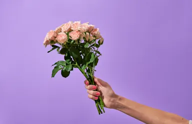 A close-up of a hand with pink nail polish holding a bouquet of light pink roses with green leaves, set against a bright purple background.