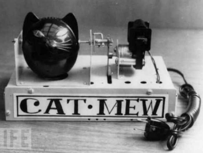 Mew Machine The Weirdest Inventions Ever Purple Clover