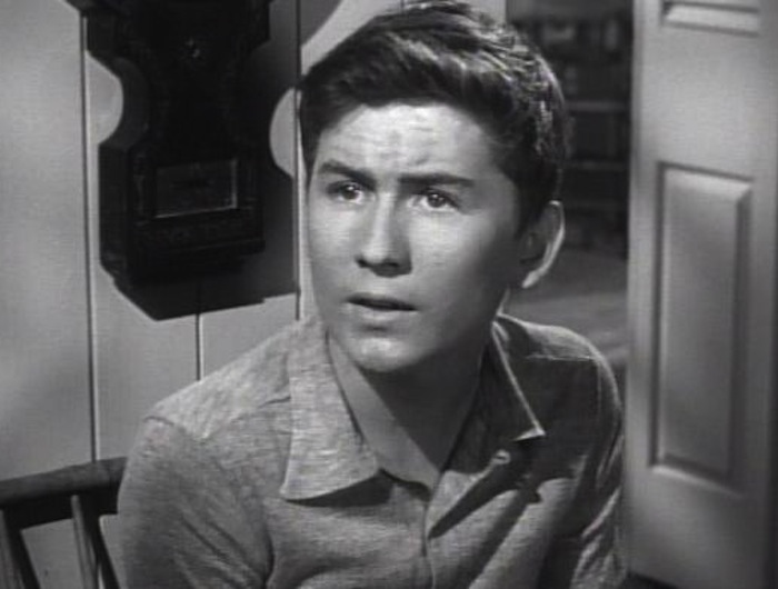 Billy Gray 15 Stars Who Dropped Off Your Radar Purple Clover