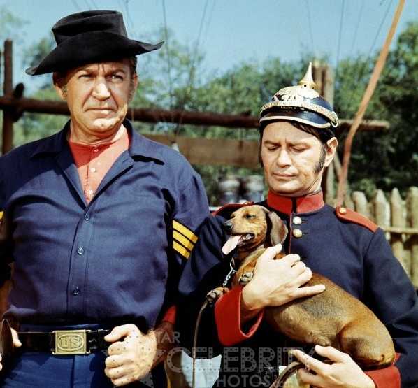 F Troop 1965 Classic TV's Vintage Year Purple Clover F Troop 1965 Classic TV's Vintage Year Purple Clover