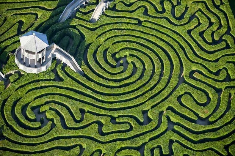 I Got Lost in a Giant Hedge Maze and Lived to Tell the Tale | Purple Clover