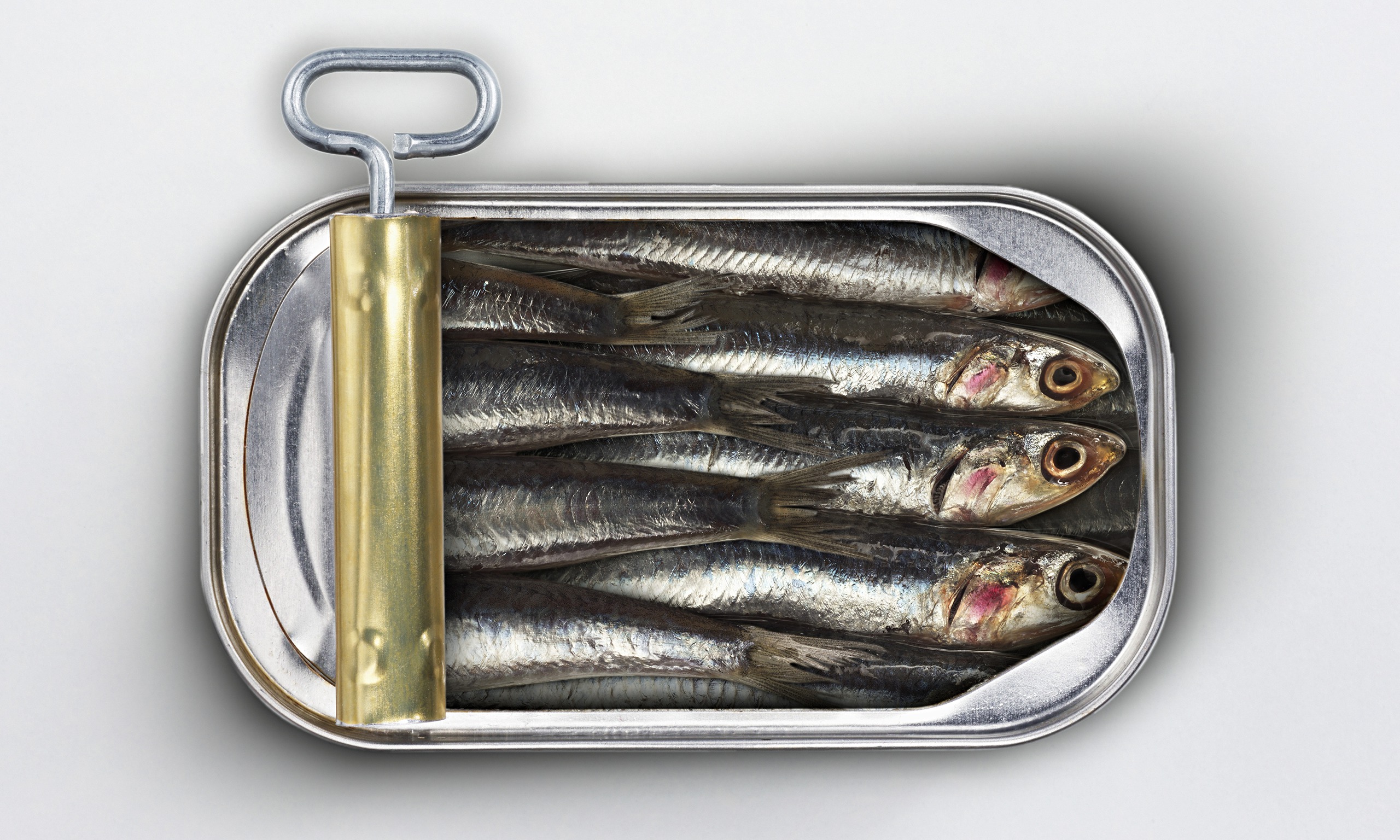 Sardine Syndrome Why Everything Seems Better in Foreign Lands Purple