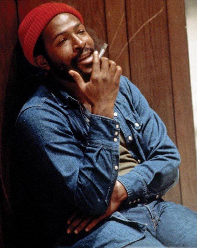 36393-denim-marvin-gaye.jpg