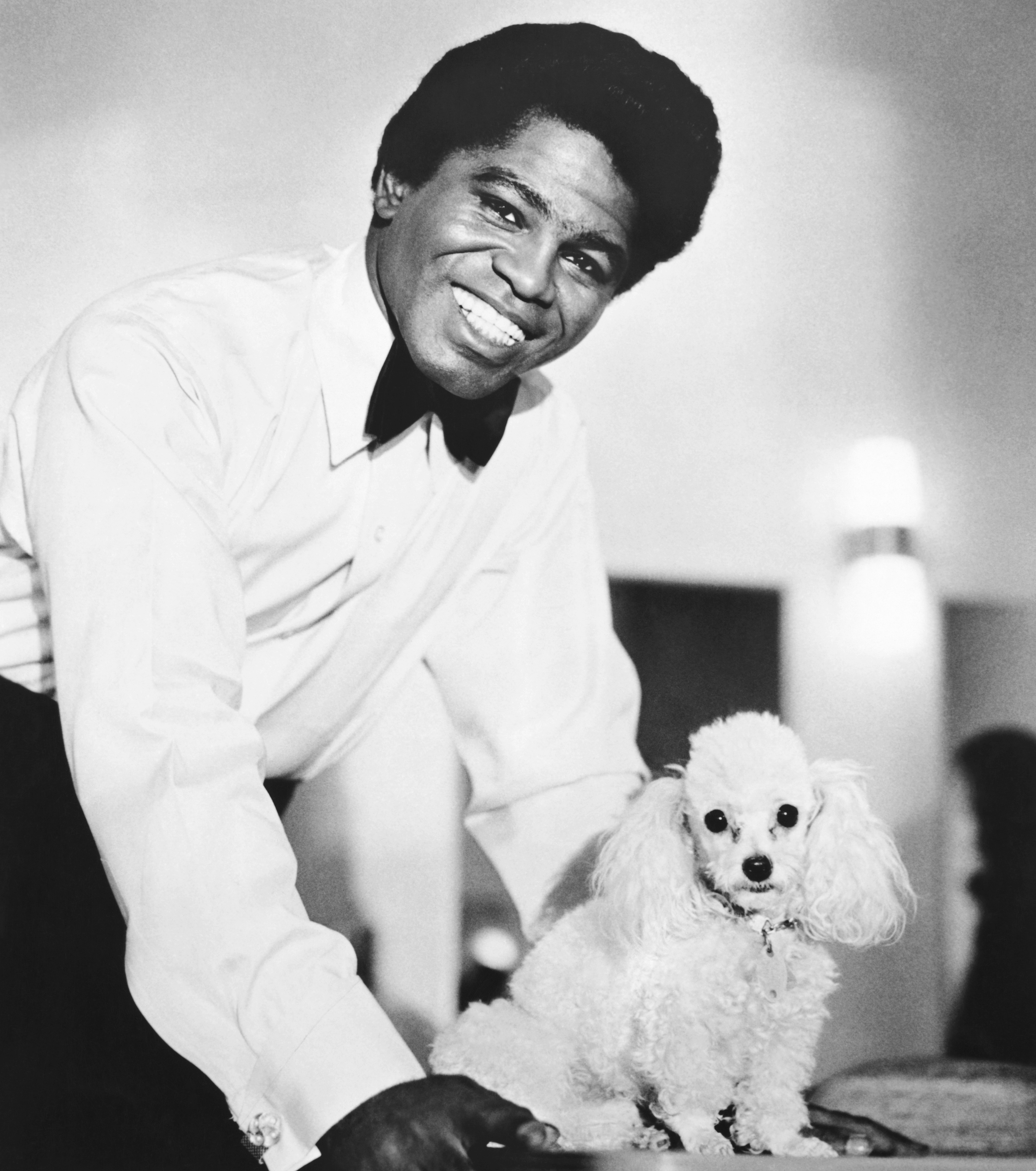 40956-james-brown-portrait-with-a-dog.jpg