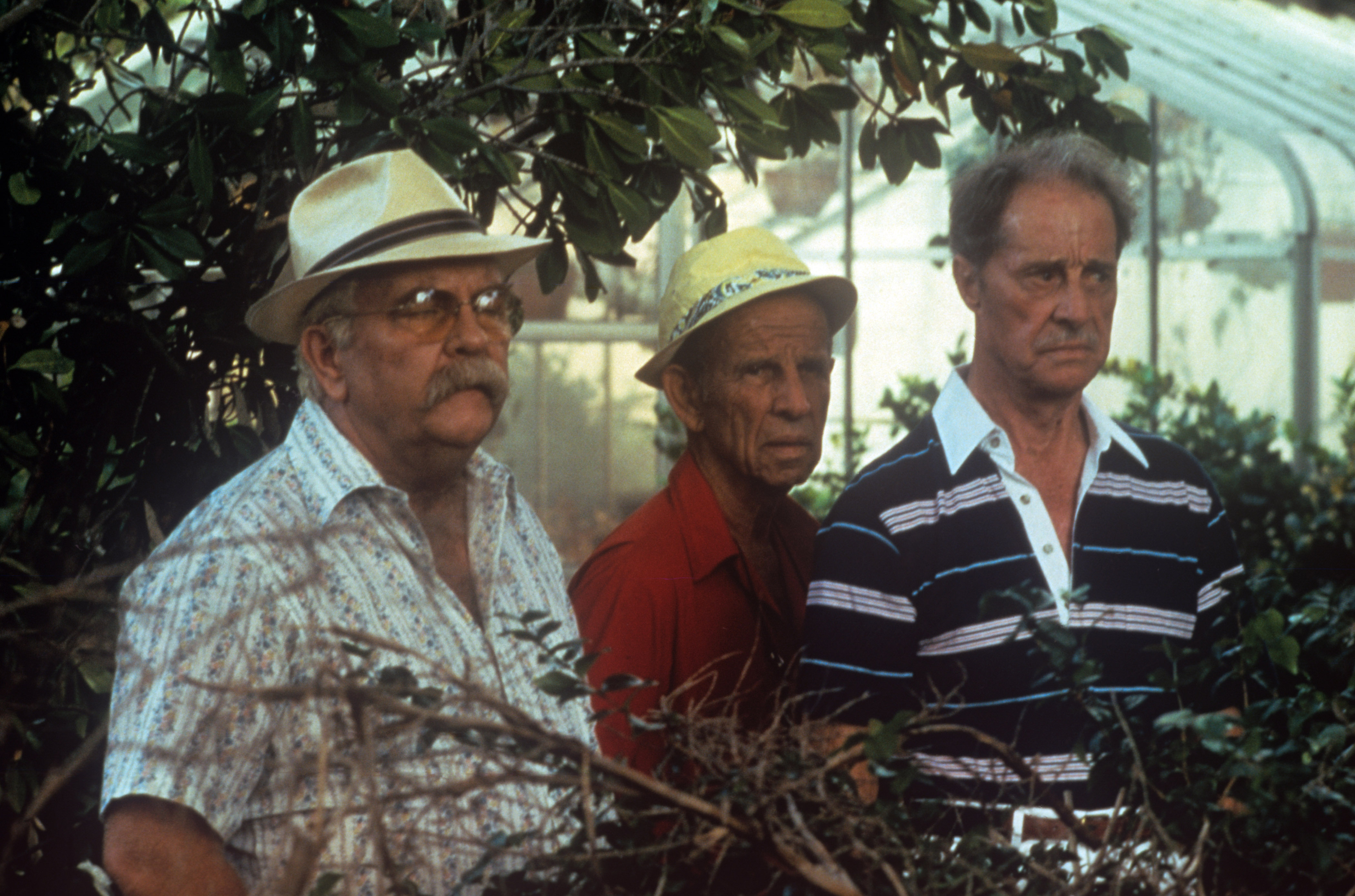 "Cocoon" (1985) 20 MustSee Movies About Old Age Purple Clover