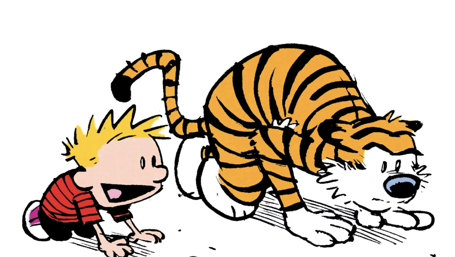 hobbes tiger